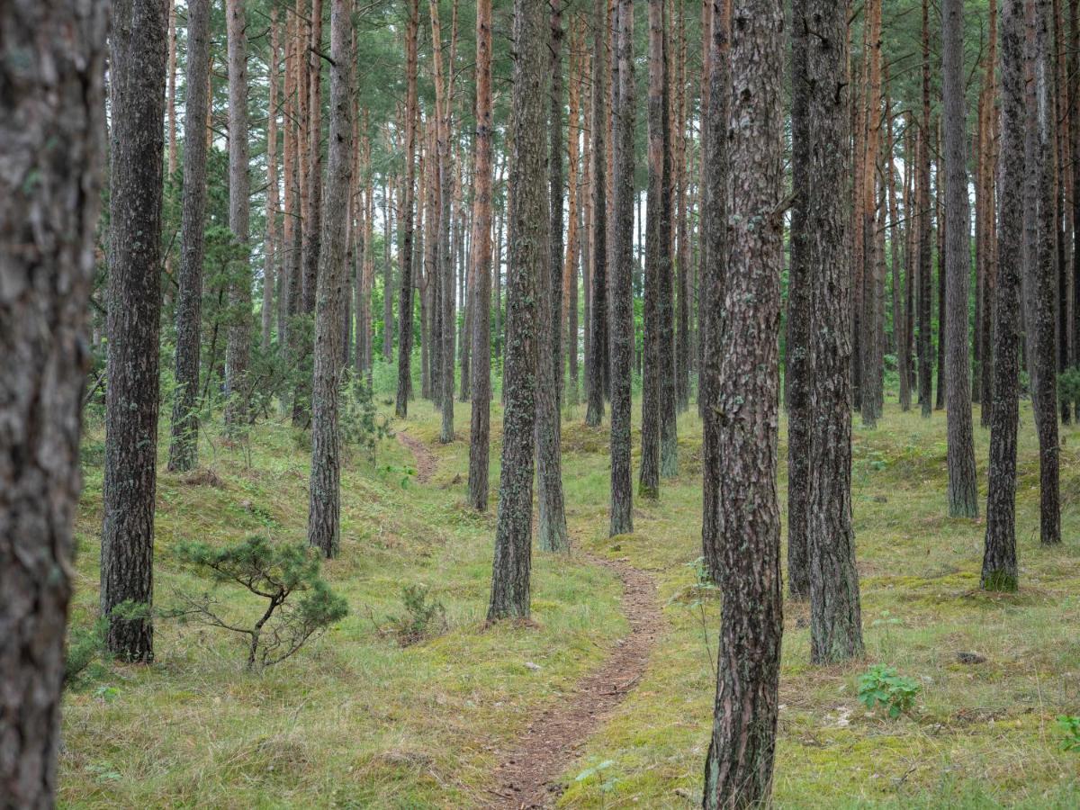Vila Bite Palanga Eksteriør bilde